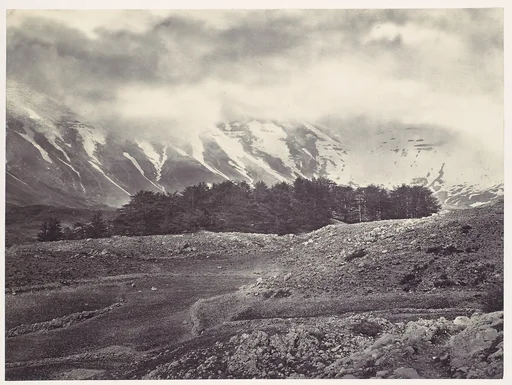 Distant View of the Cedars of Lebanon