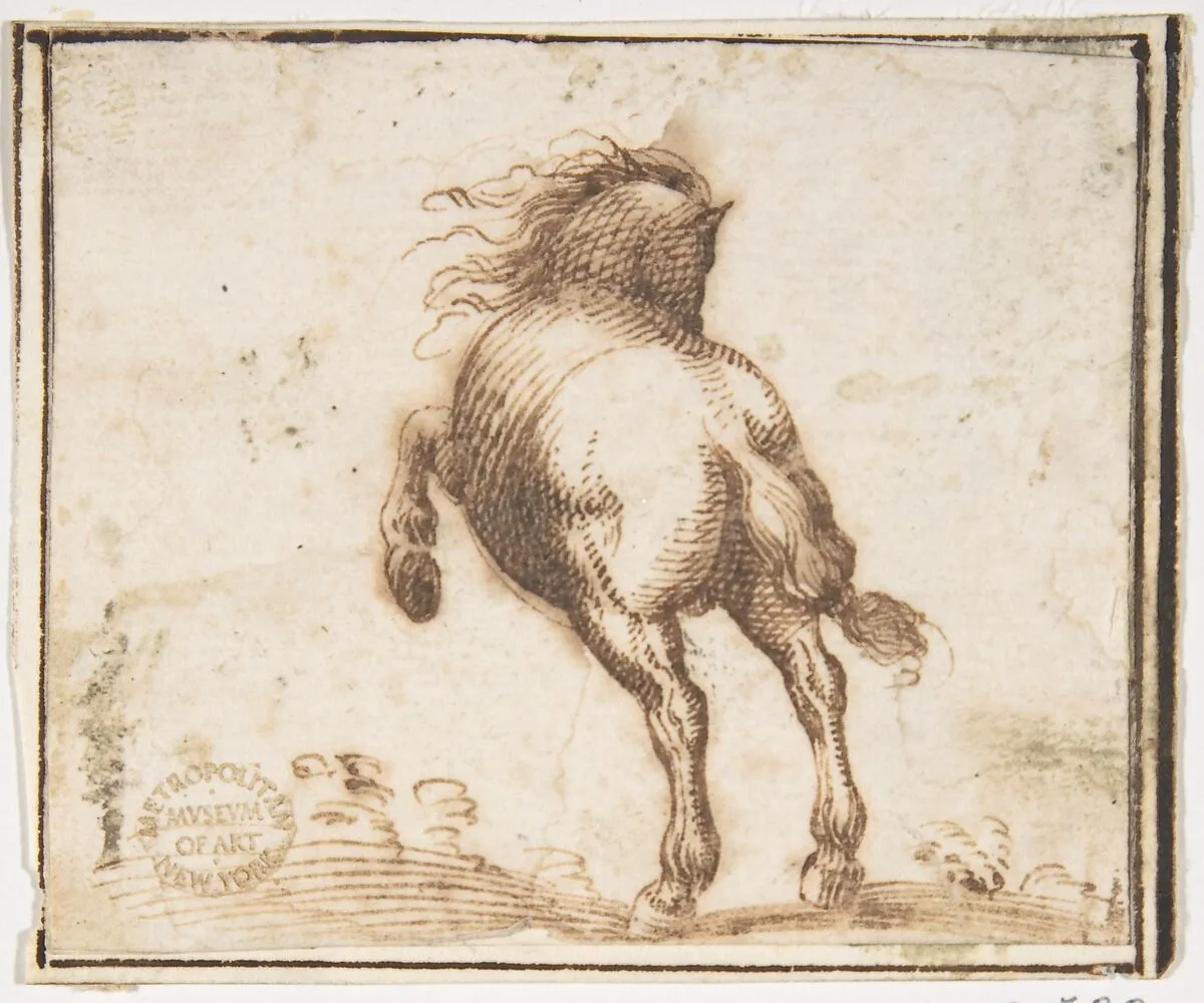 Horse — Francesco Allegrini