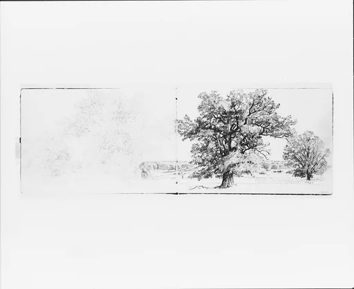 Two Trees in a Landscape (from Sketchbook VII)