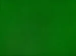 Green Screen #7