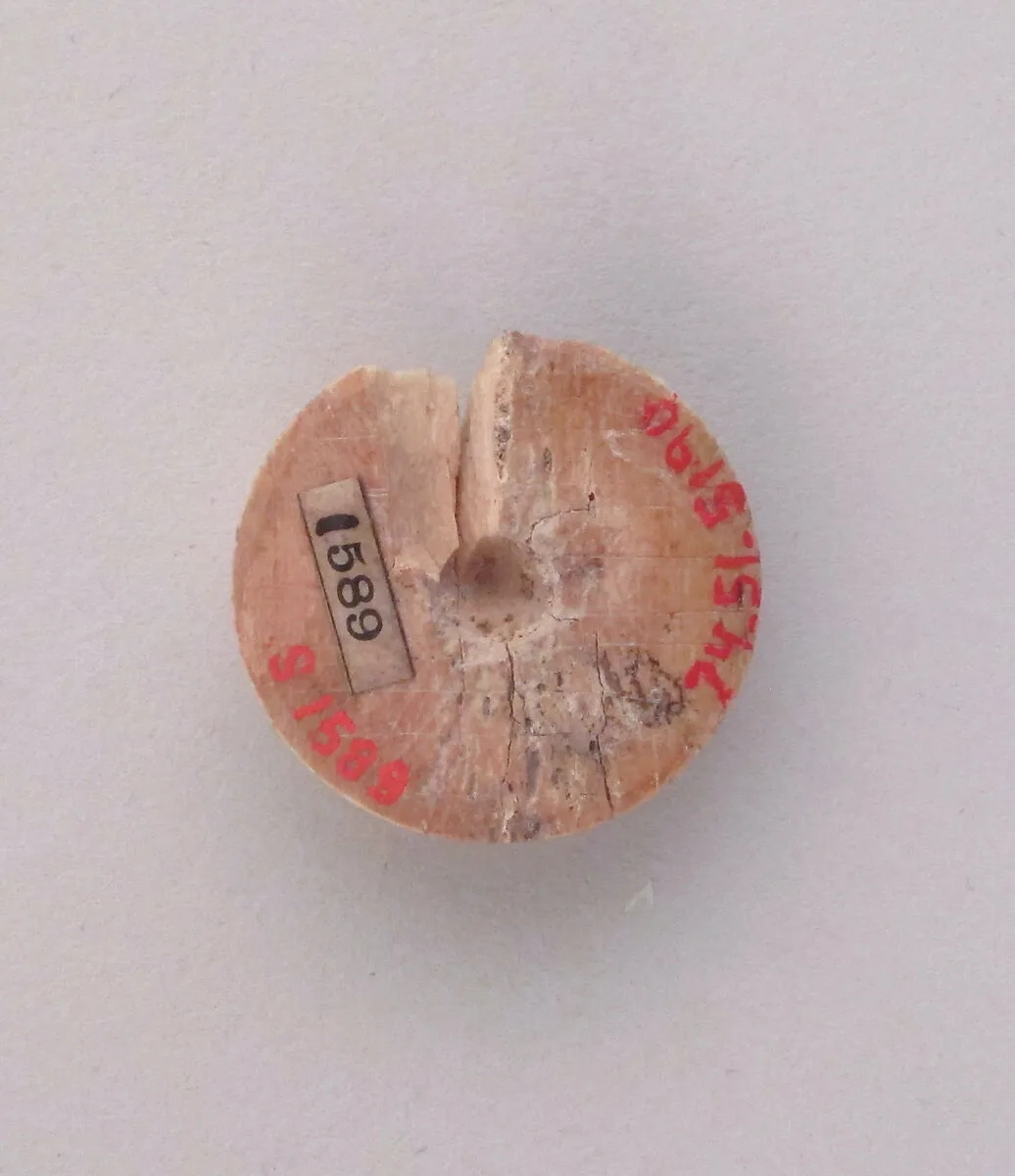 Semi-spherical disc with mortice — Unknown