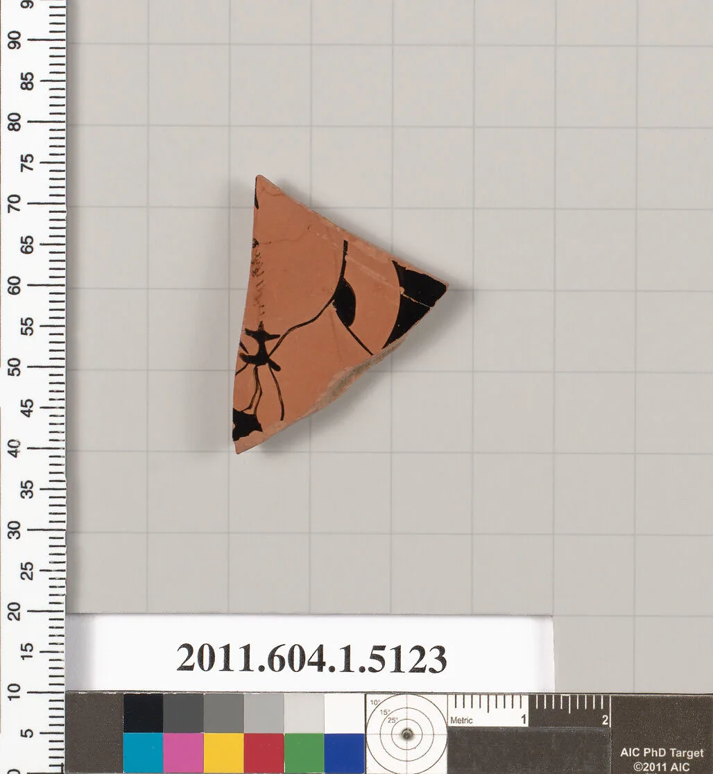 Terracotta fragment of a kylix (drinking cup) — Unknown