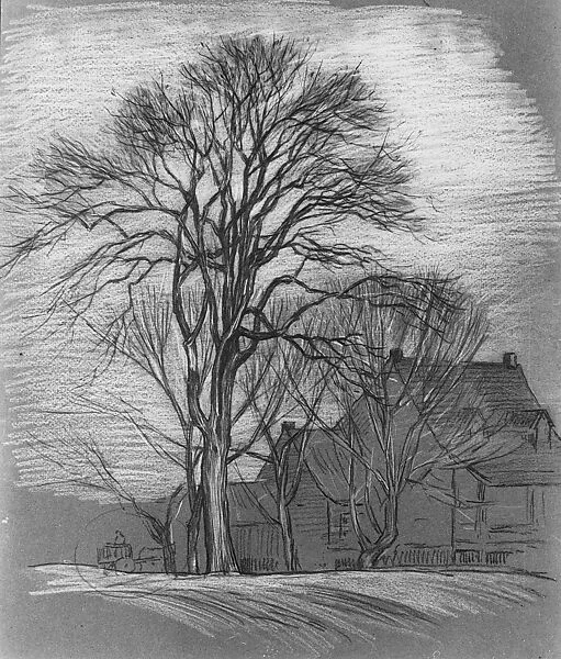 The Homestead — Alexander Shilling