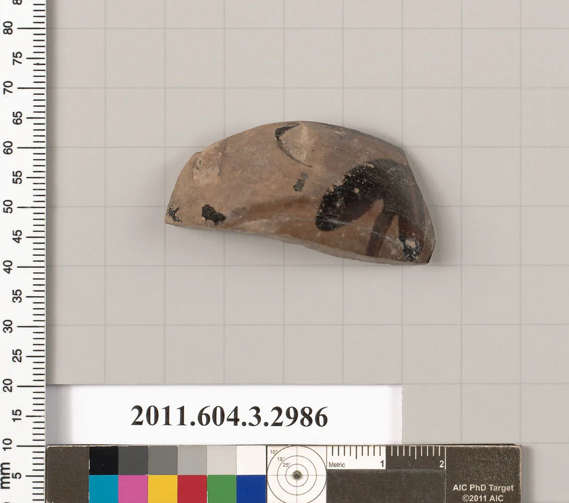 Terracotta fragment of a skyphos (deep drinking cup) — Unknown