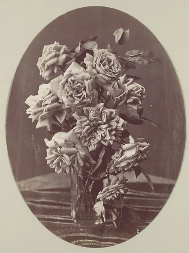 [Roses]