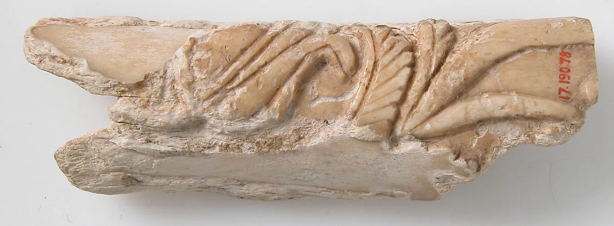 Relief Fragment with Floral Design — Unknown