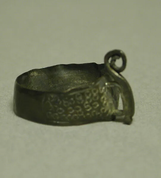 Ring: Chameleon — Unknown