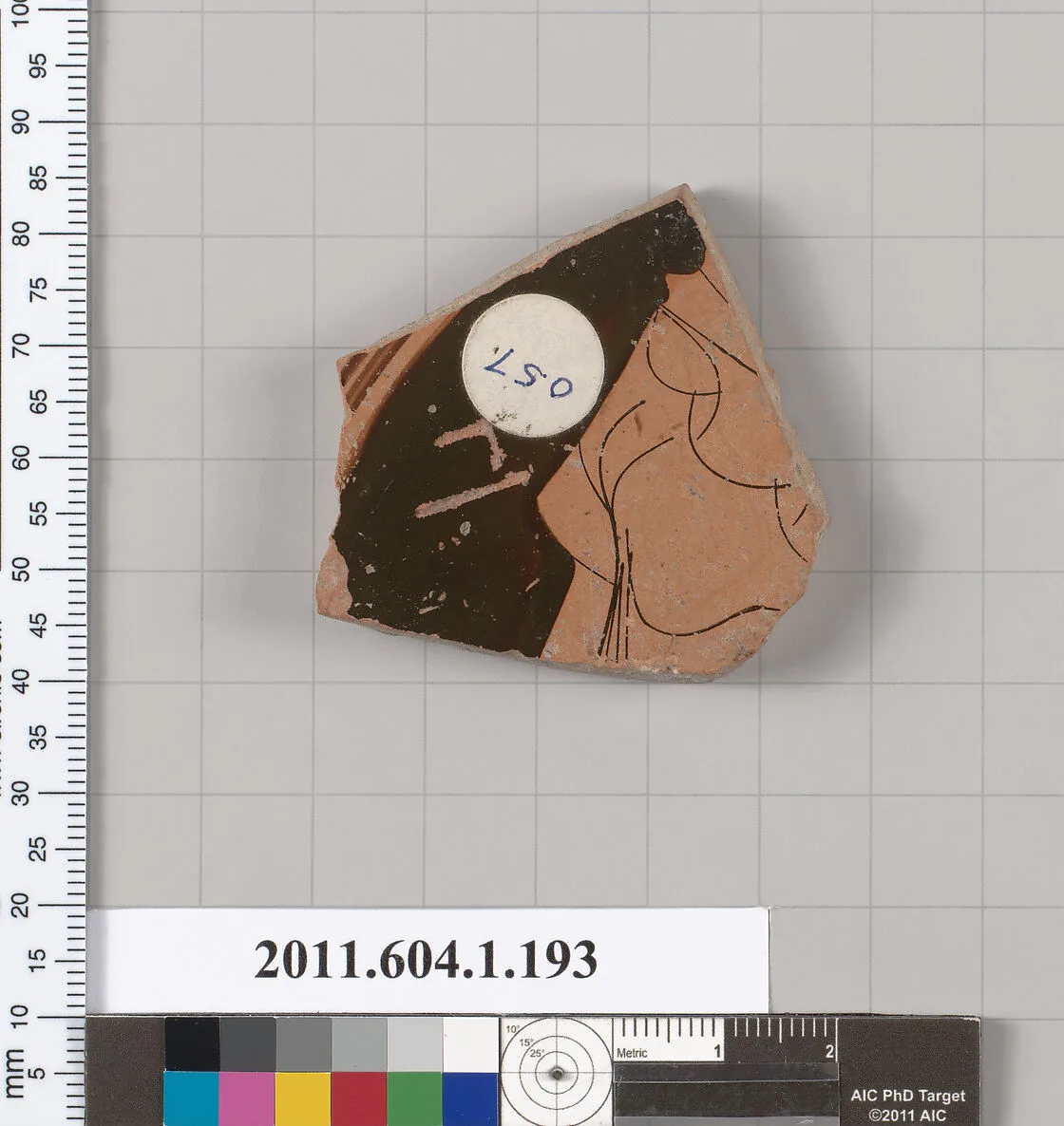 Terracotta fragment of a kylix (drinking cup) — Unknown