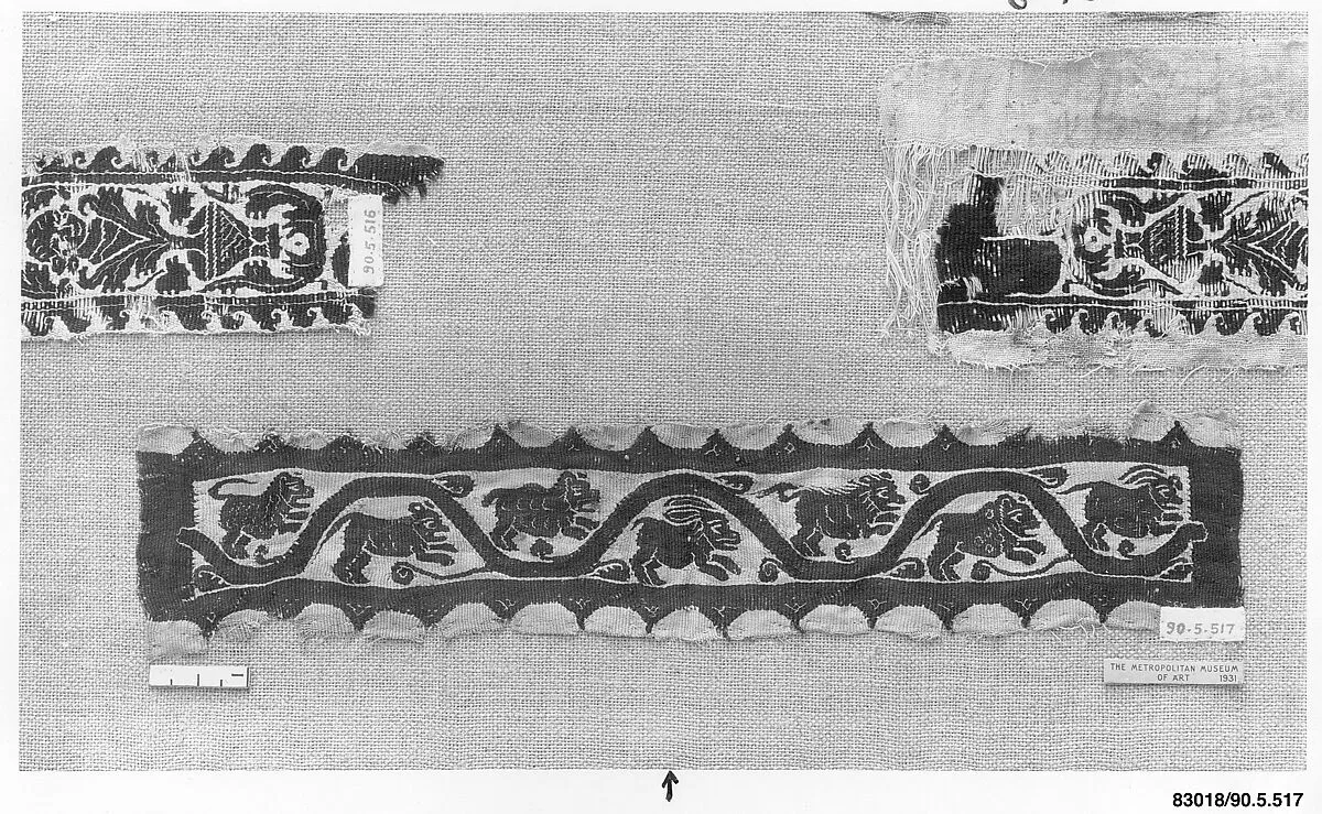 Fragment of a Sleeve — Unknown