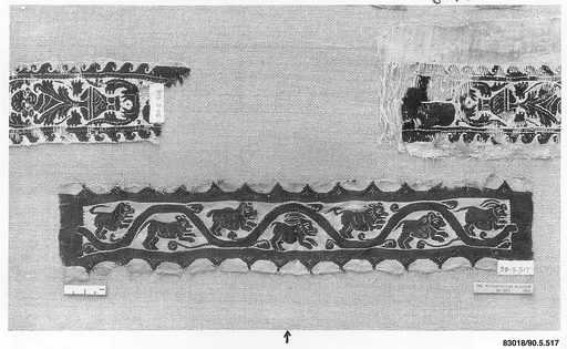 Fragment of a Sleeve