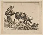 Plate 14: shepherdess herding goats, from 'Various animals' (Diversi animali) — Stefano della Bella|Charles Meryon