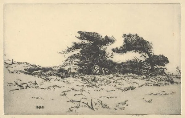 Lighthouse Pines No. 2 — Ernest Haskell