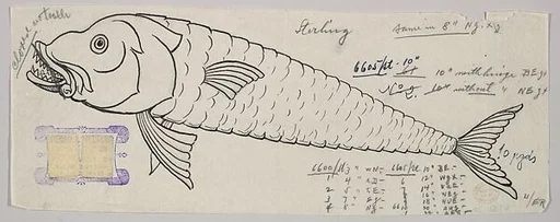 Design for a Silver Fish