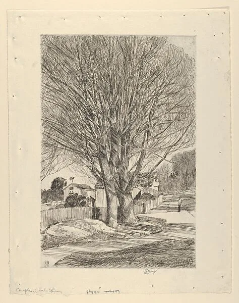 Maples in Early Spring — Childe Hassam