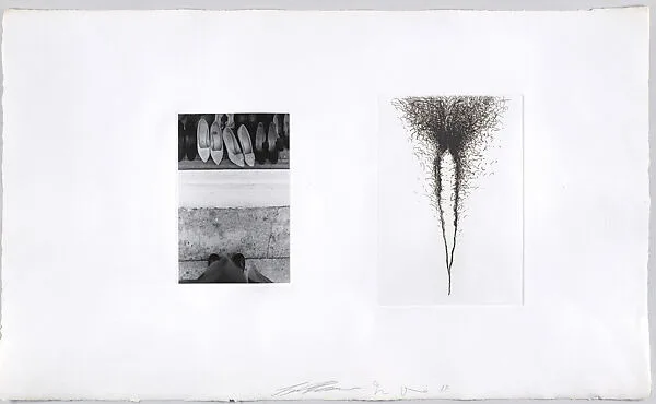 Photographs and Etchings V from Photographs and Etchings — Petersburg Press, Ltd.|Jim Dine|Lee Friedlander