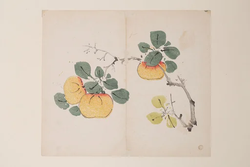 明 胡正言 《十竹齋書畫譜》 四開 木版畫|Page from the Ten Bamboo Studio Manual of Painting and Calligraphy