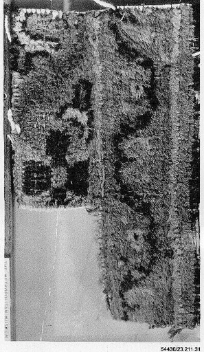 Carpet Fragment