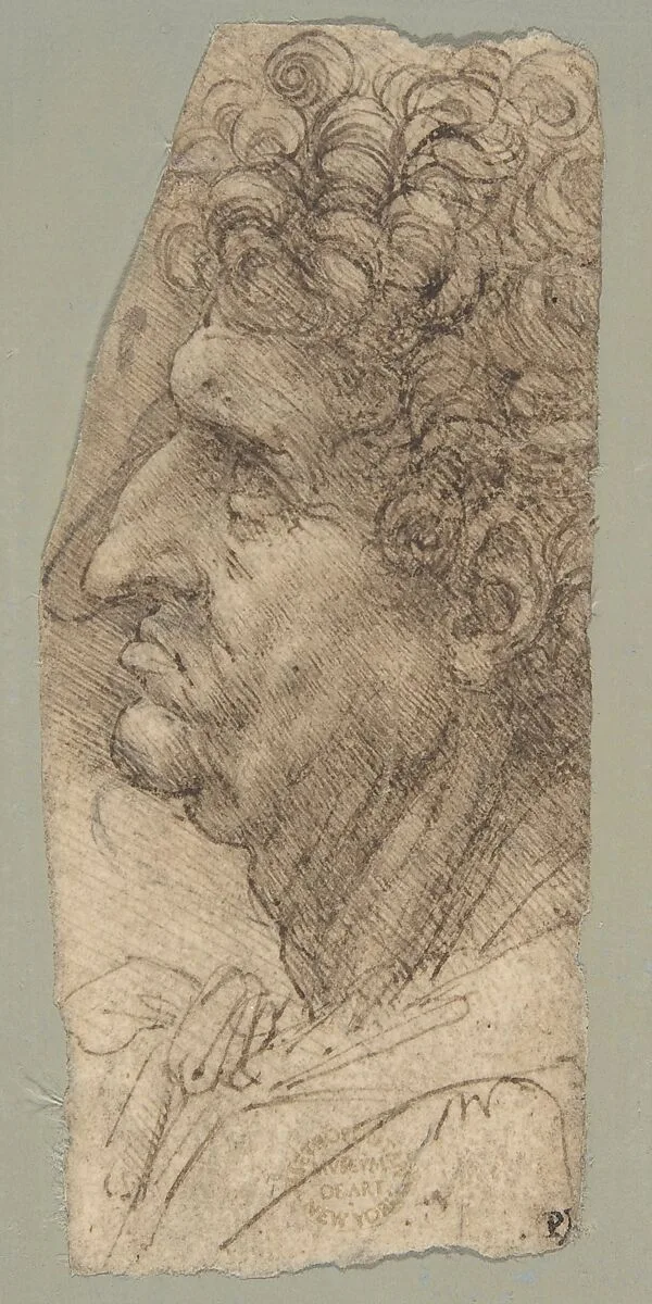 Head of a Man in Profile Facing to the Left — Leonardo da Vinci