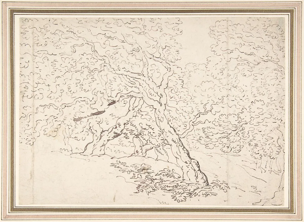 Study of trees — Thomas Rowlandson