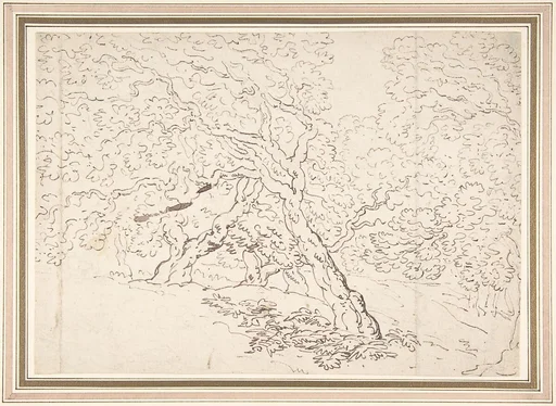 Study of trees