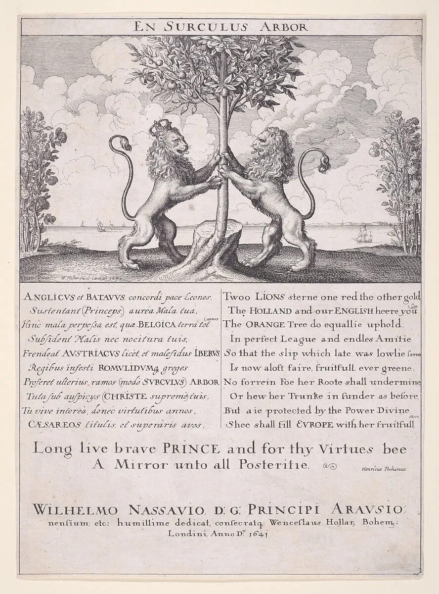 The Lions of England and Holland (En Surculus Arbor) — Wenceslaus Hollar
