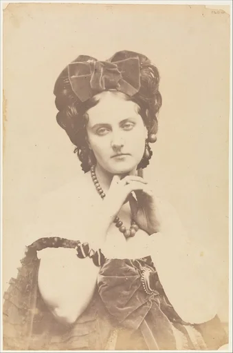 [La Comtesse décolletée; Roses mousseuses]