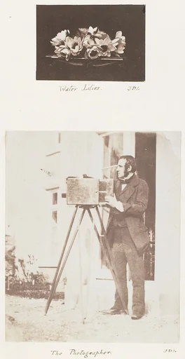 Water Lilies; The Photographer
