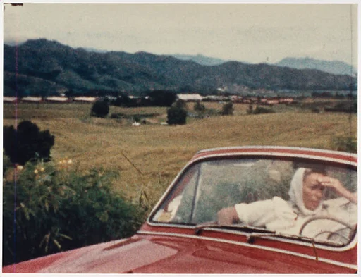 Untitled Film Still