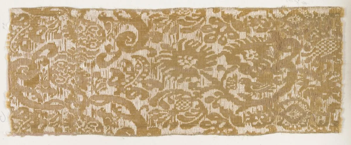 Fragment — Unknown