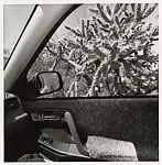 Arizona — Lee Friedlander