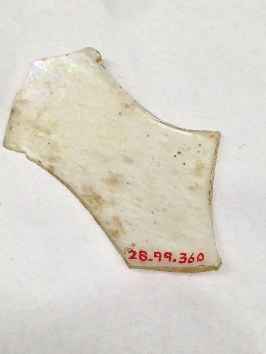 Fragment — Unknown