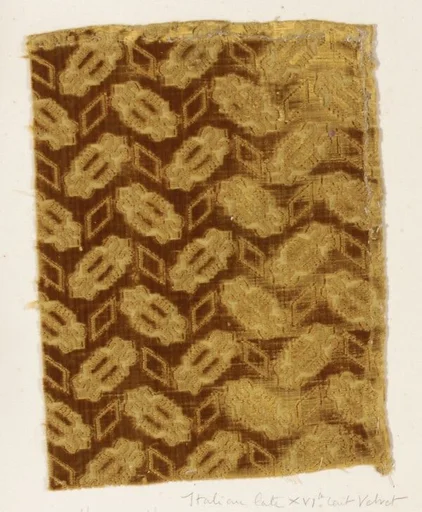 Fragment