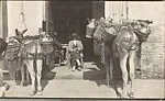 [Seated Man in Bar Doorway with Two Burros, Spain]