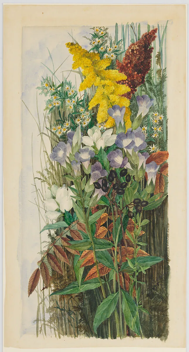 Wildflowers — Ellen Robbins