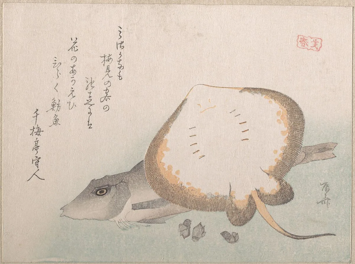 Untitled — Ryūryūkyo Shinsai