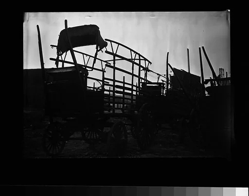[Farmers' Flatbed Wagons, Old Wallabout Market, Brooklyn, New York]