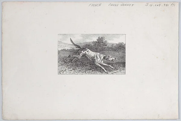 Studies of Hunting Dogs — Carle (Antoine Charles Horace) Vernet