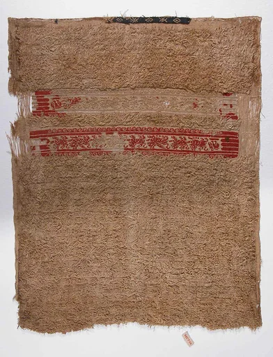 Fragment of a Sleeve