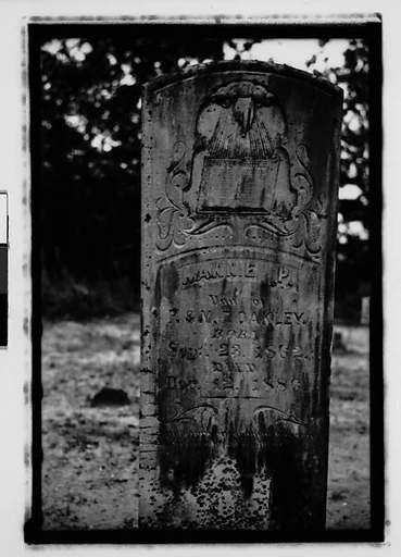 [Gravestone "Nannie P.", Alabama]