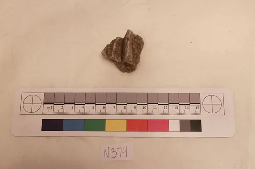 Stucco Fragment
