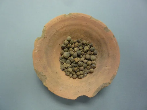 Bowl of Jujube Berries