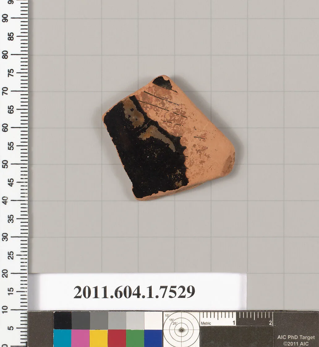 Terracotta fragment of a kylix (drinking cup) — Unknown