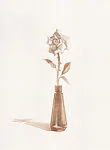 Rose, from Recent Etchings I