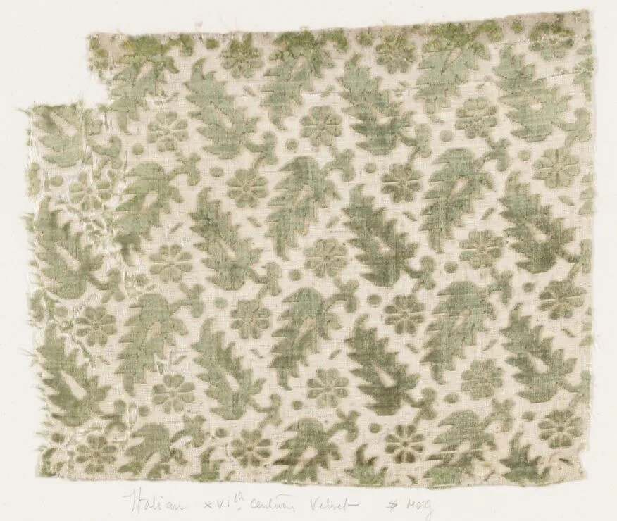 Fragment — Unknown