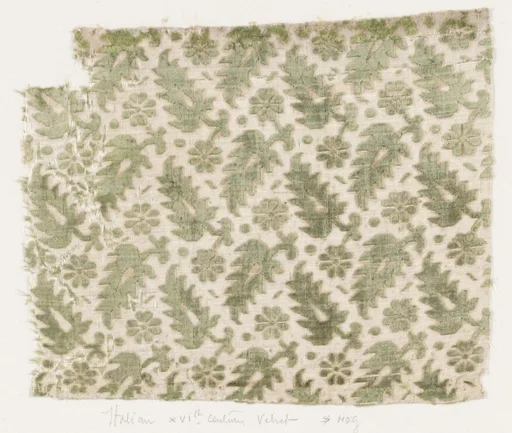 Fragment