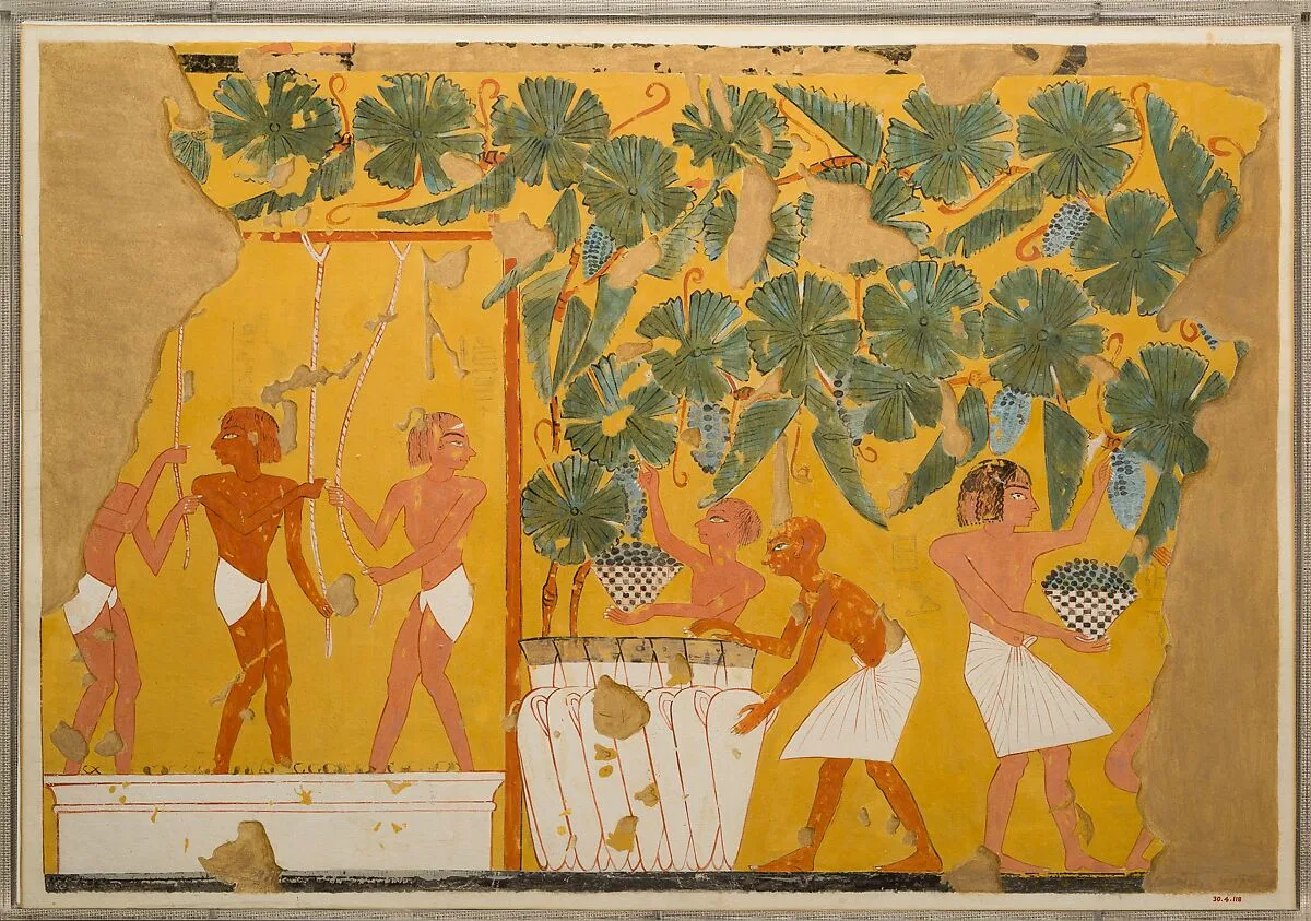 Winemaking, Tomb of Ipuy — Charles K. Wilkinson