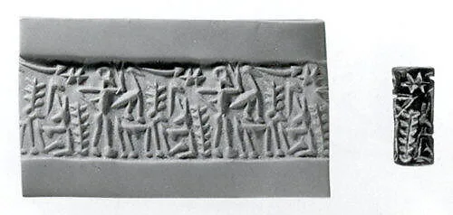 Cylinder seal — Unknown