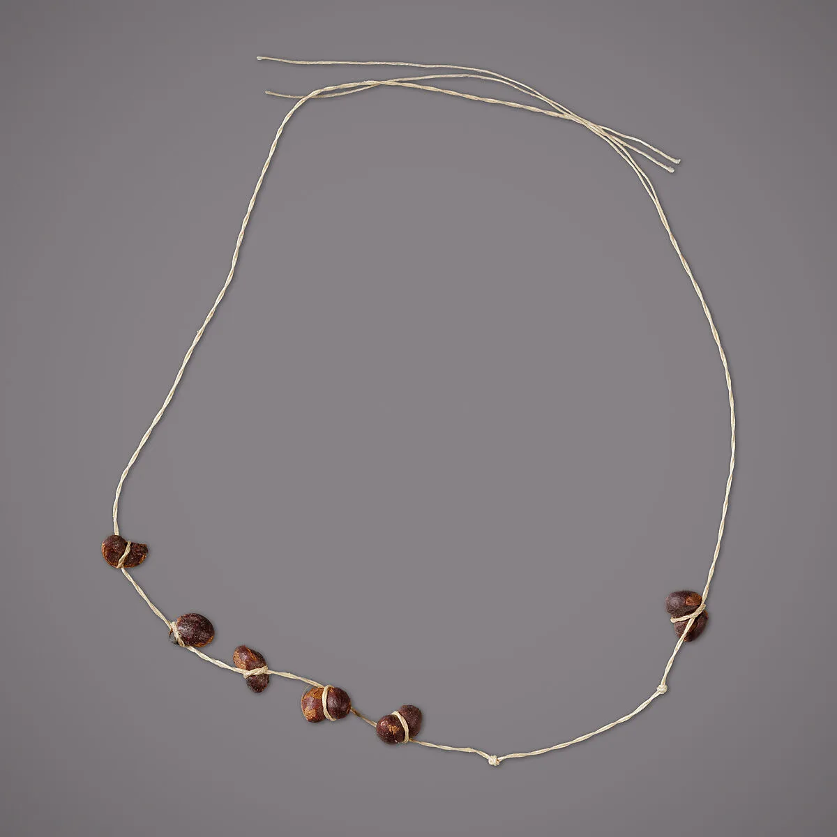 String of 8 kidney-shaped seeds — Unknown