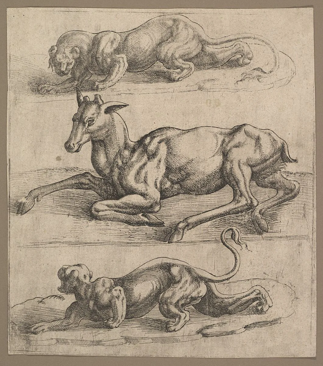 A Doe and Two Lionesses — Jan Cornelisz Vermeyen