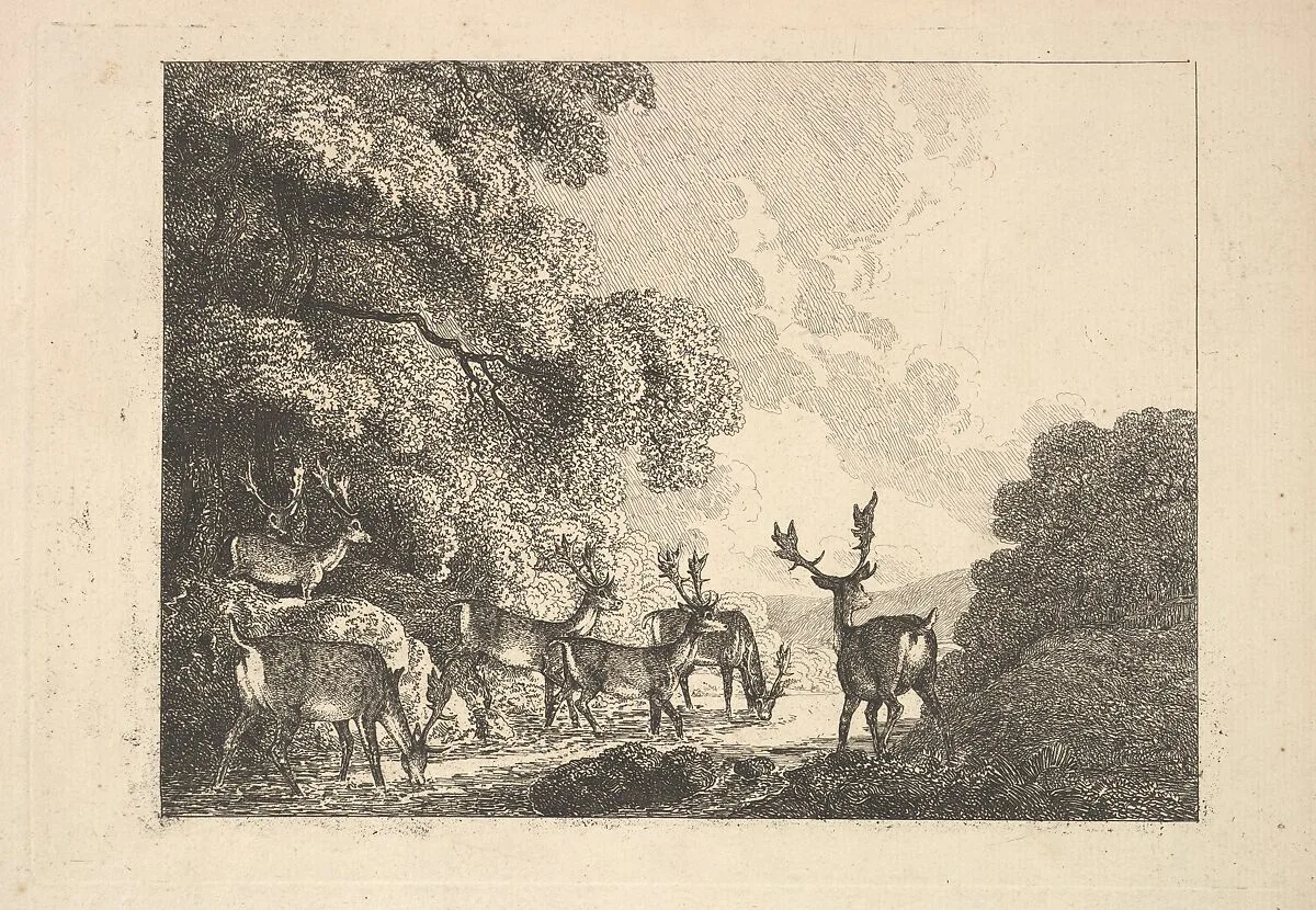 A Group of Stags Drinking — Thomas Rowlandson|Samuel Howitt